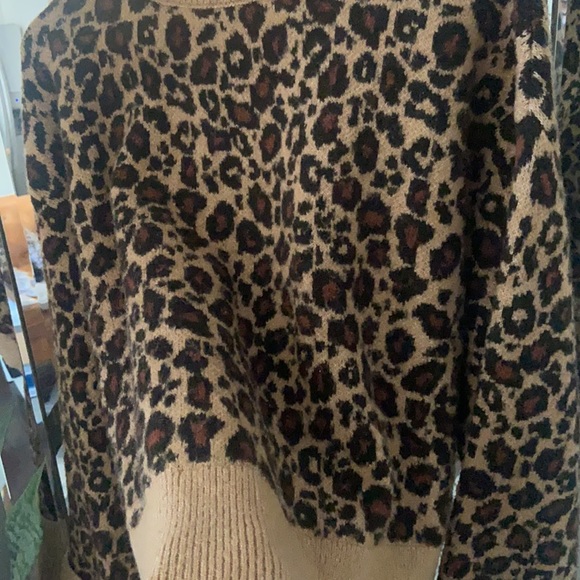 Zara Knit Cheetah Sweater - Picture 2 of 3